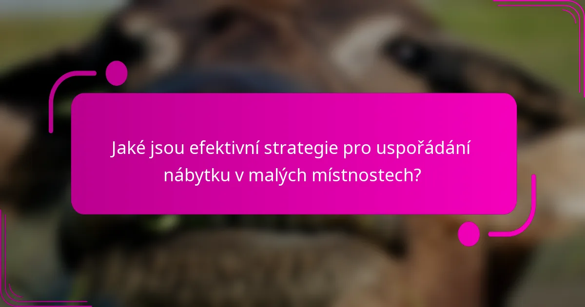 Jaké jsou efektivní strategie pro uspořádání nábytku v malých místnostech?